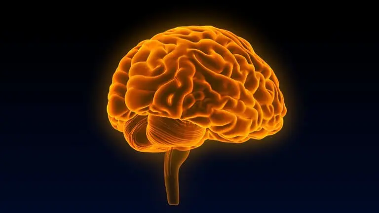 Human Intelligence, Consciousness, And Brainpower